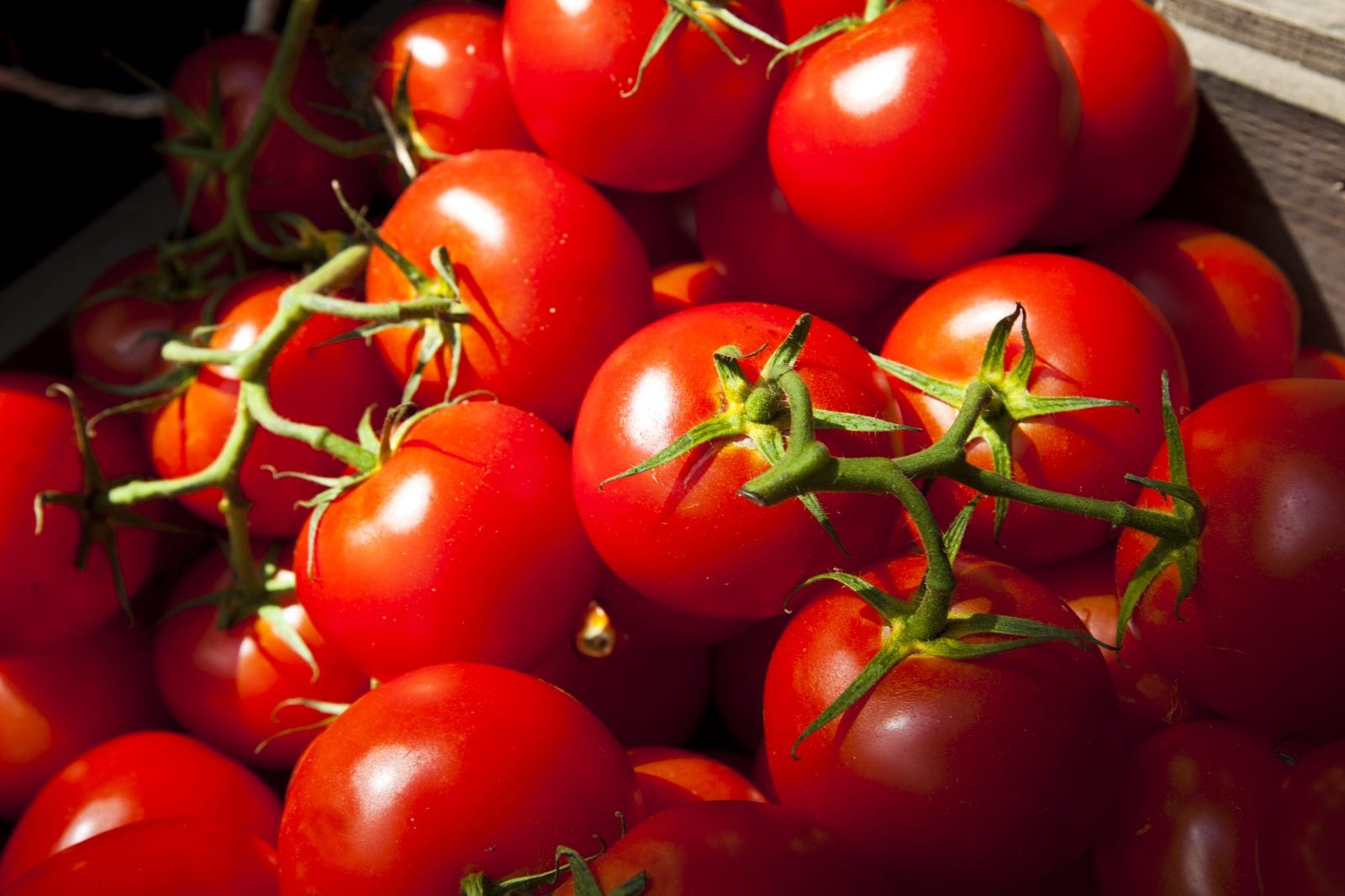 farmers-market-tomatoes