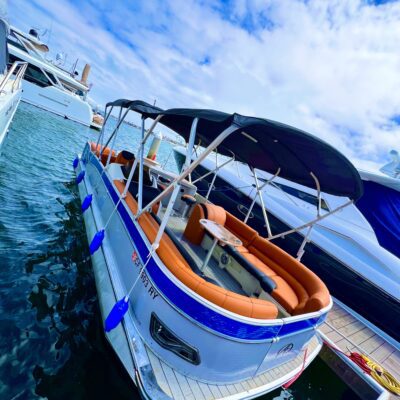 Pontoon rental newport beach